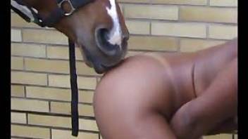 Compilation - woman having sex with horse