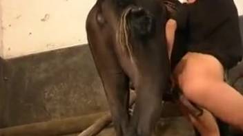 Horse porn movie with a babe that bangs