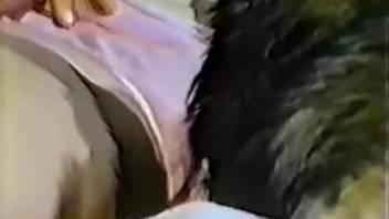 Classic bestiality adult film