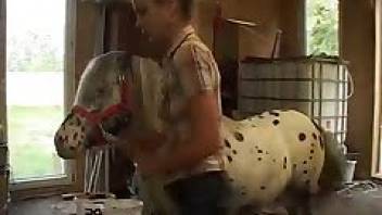 Horse fuck clip with a blondie