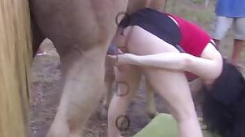 Outdoor horse fuck movie with a brunette