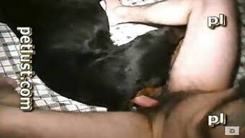 Dude enjoying passionate dog fucking
