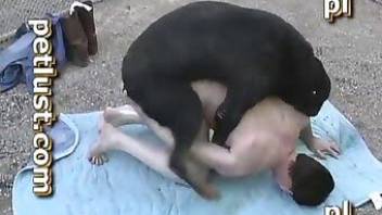 Passionate beastiality sex with a hot dude