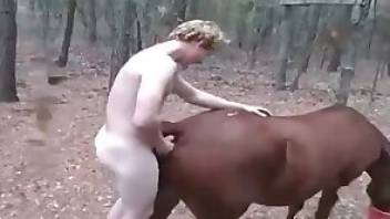 Zoophilia video with a horny horse fucker