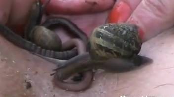 Woman screwed by snail in intense bestiality action shown here