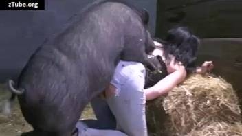 Dark-haired woman starring in free bestiality porn clip